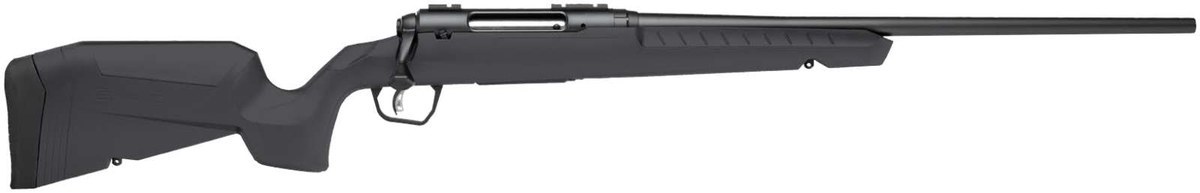 Savage Axis 2 .223 Gray