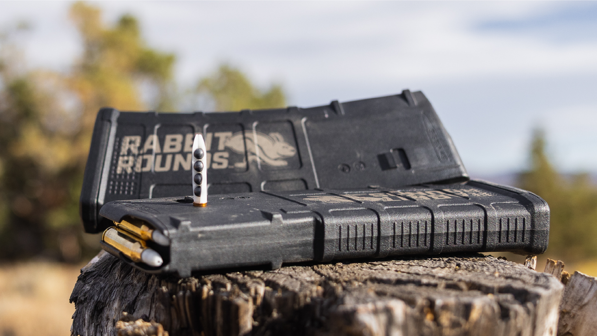Franklin Armory Rabbit Rounds ammunition boxes on a stump